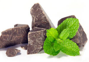 NON FAT MINT CHOCOLATE CHIP YOGURT