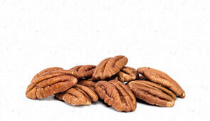 NON FAT SOUTHERN BUTTER PECAN 21079