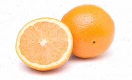 VALENCIA ORANGE SORBET