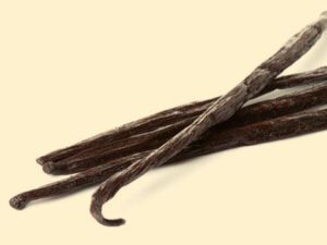 FRENCH VANILLA YOGURT